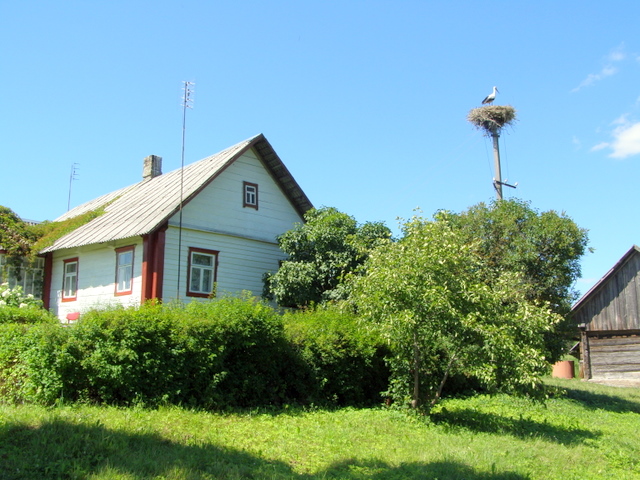 Uršulės Strazdienės sodyba Kurkleliuose.